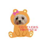 まゆてやんのスタンプ（個別スタンプ：1）
