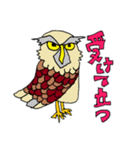 ふくろーさん（個別スタンプ：5）
