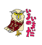 ふくろーさん（個別スタンプ：6）