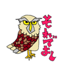 ふくろーさん（個別スタンプ：9）