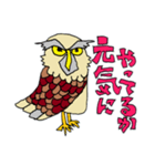 ふくろーさん（個別スタンプ：13）