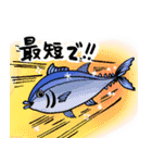 おさかな流通愛（個別スタンプ：17）