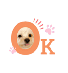 ほしまるだしっ（個別スタンプ：2）