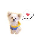 ほしまるだしっ（個別スタンプ：4）