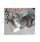 こんなのどうですか（個別スタンプ：6）