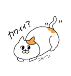 感情が薄めのねこ（個別スタンプ：16）
