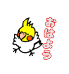 おかめインコ（個別スタンプ：4）