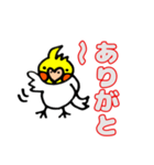 おかめインコ（個別スタンプ：6）