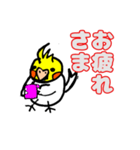 おかめインコ（個別スタンプ：8）