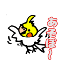 おかめインコ（個別スタンプ：14）