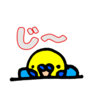 インコのペンちゃん（個別スタンプ：3）