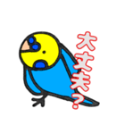 インコのペンちゃん（個別スタンプ：7）