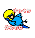 インコのペンちゃん（個別スタンプ：8）