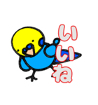 インコのペンちゃん（個別スタンプ：11）