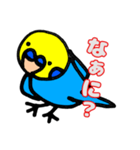 インコのペンちゃん（個別スタンプ：13）