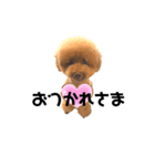 ほんわかケンシロウ（個別スタンプ：3）