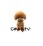 ほんわかケンシロウ（個別スタンプ：7）
