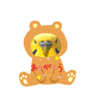 インコスタグラム（個別スタンプ：1）