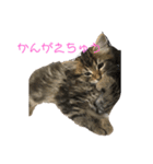 じるのスタンプ（個別スタンプ：6）