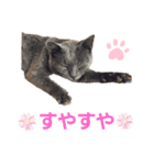 Ririの にちじょう。（個別スタンプ：1）