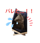 Ririの にちじょう。（個別スタンプ：8）