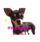 女の子の赤ちゃん（個別スタンプ：8）