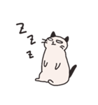 クールにゃんこ（個別スタンプ：23）