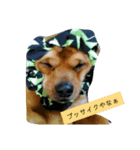 サム君（個別スタンプ：5）