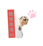 サム君（個別スタンプ：6）