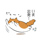 ノルウェージャンのノル坊 2（個別スタンプ：2）