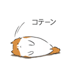 ノルウェージャンのノル坊 2（個別スタンプ：8）