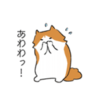 ノルウェージャンのノル坊 2（個別スタンプ：38）