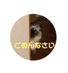 くうたん、（個別スタンプ：8）