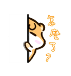 肥満ラット - 第二弾（個別スタンプ：6）