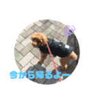 バーディ0813のスタンプ（個別スタンプ：5）