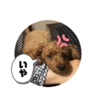 バーディ0813のスタンプ（個別スタンプ：6）