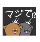 トイプーまるの日常（個別スタンプ：16）