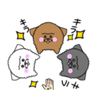 トイプーまるの日常（個別スタンプ：22）