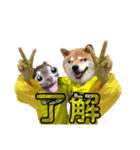 わんころ達（個別スタンプ：1）