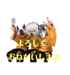 わんころ達（個別スタンプ：2）