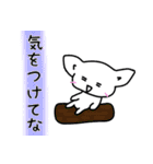 白ネコ日常会話の関西弁ver（個別スタンプ：28）