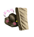 やんちゃなラビ吉の日常。（個別スタンプ：8）