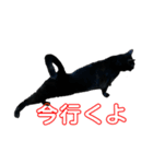 ペロ＆クロスタンプ（個別スタンプ：4）