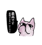 ねこにんぎょう（個別スタンプ：34）