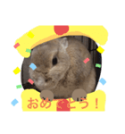 うさぎのこれ（個別スタンプ：5）