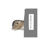 うさぎのこれ（個別スタンプ：8）