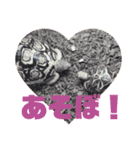ロクとボン（個別スタンプ：4）