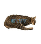 天スタンプいち（個別スタンプ：1）
