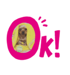 Jiji！！（個別スタンプ：2）