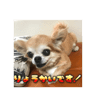 チェリちゃんすたんぷ2（個別スタンプ：2）